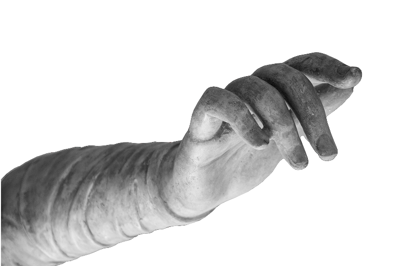 Arm image